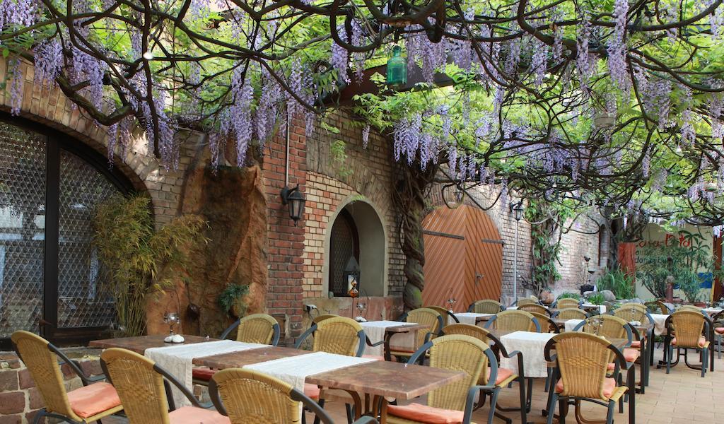 Hotel Zur Pfalz Kandel Kültér fotó